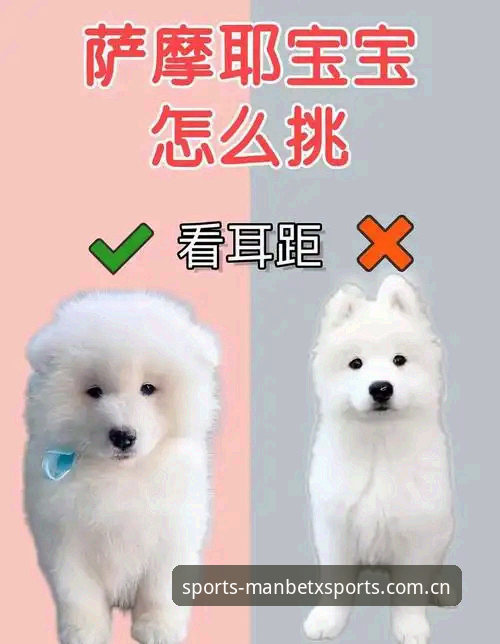 万博体育比分检索推荐 新手必看!7个高效使用万博体育比分检索推荐的实用技巧